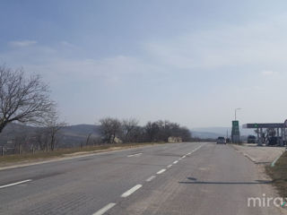 s. Cristești, Nisporeni, Moldova foto 0