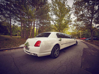Bentley Continental GT Транспорт для торжеств/Тransport pentru ceremonie. De la 60€/zi (день) foto 5