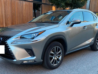 Lexus NX Series