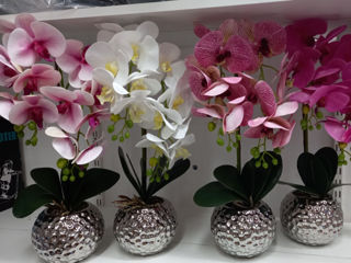 Орхидея искусственная. Цветет круглый год!