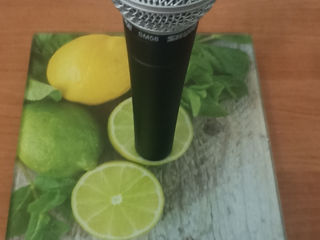 Shure sm58 foto 8