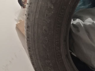 Pirelli Scorpion 235/60 R18 107V M+S foto 2