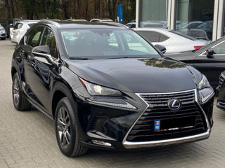 Lexus NX Series foto 4