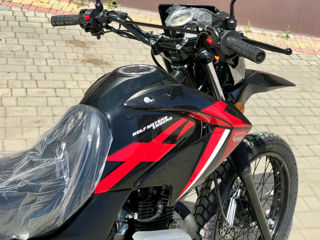 Wolf Motors Enduro  foto 3