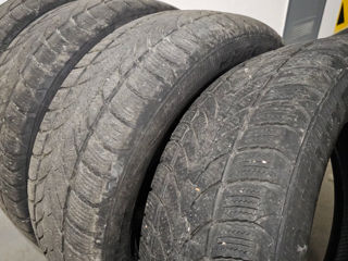 Vind anvelope Platin RP60 Winter, 225/55 R17 foto 6