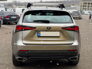 Lexus NX Series foto 7