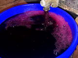 Vin de casă