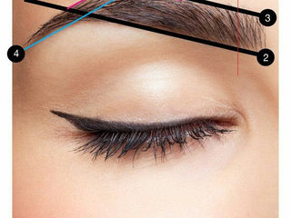 Мастер -Бровист! Измените себя к лучшему! курс