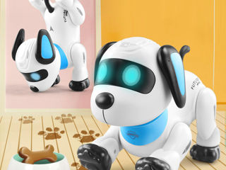 Робот собака радиоуправляемая, голосовое управление. Caine robot controlat radio, control vocal.