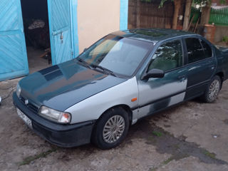 Nissan Primera foto 4