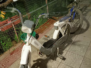 Piaggio Ciao foto 1