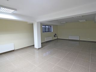 Chirie Imobil Comercial! Centru, str. Ismail, 1000 m2! Prima linie! foto 7