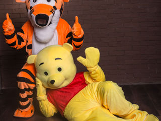 Chirie costume: Iepuras, Minion, Winnie the Pooh, Tigra, Panda, Ninja, Miky si Mini Mouse фото 6