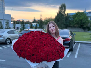101 trandafiri de la doar 800 lei cu livrare