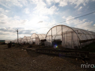 Spre vânzare teren agricol în s.Dobrogea!! foto 14