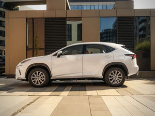 Lexus NX Series foto 7