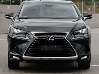 Lexus NX Series foto 11