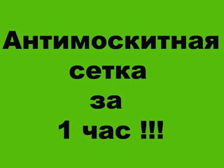 Антимоскитные сетки 250 лей за штуку. фото 2
