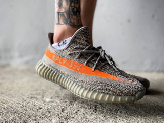 Adidas Yeezy Boost 350 Beluga foto 3