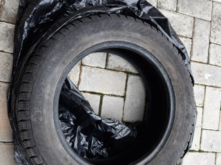 Продаю зимнюю шину Gislaved 205/55 R16 - 1 штука фото 1