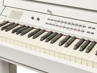 Digital Grand Piano Thomann DP-275 GP WHP. Livrare gratuita în toată Moldova, plata la primire. foto 6