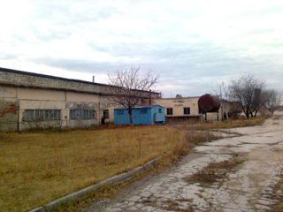 Производственно складской комплекс на трассе Кишинев - Бельцы foto 8
