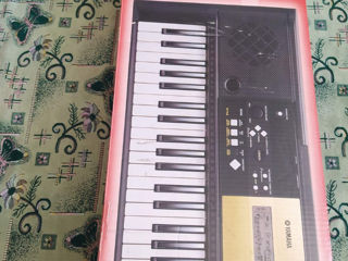 Yamaha Psr E 223 foto 5