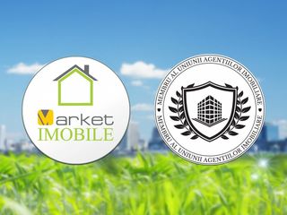 Компания Market Imobile SRL поможем продать, купить, арендовать. foto 5