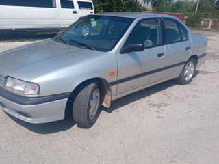 Nissan Primera foto 2