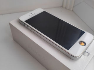 iPhone 5 foto 3