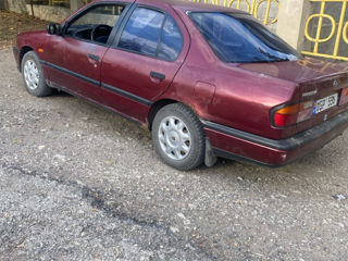 Nissan Primera foto 3