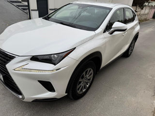 Lexus NX Series foto 6