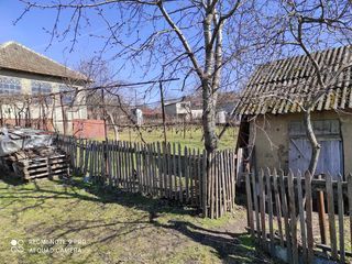 Se vinde casă bătrînească amplasată în Miclești (lîngă Peresecina) foto 8