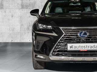 Lexus NX Series foto 6