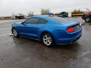 Ford Mustang foto 4