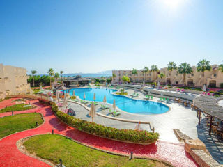 Ivy cyrene sharm hotel 4 *( adult only 13+ ).супер цены.рекомендуем!!! foto 2