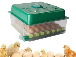 Incubator De Oua Des Champs Eco Profi C-36 - 8g - livrare/achitare in 4rate/agrotop foto 17