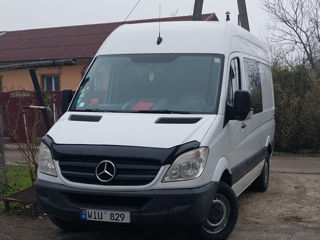 Mercedes Viano foto 1