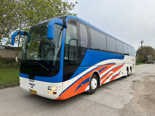 Man Lions Coach R08 foto 1