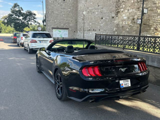 Ford Mustang foto 3