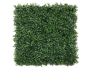 Perete decorativ GREENERY Boxwood 50*50cm (17211G )