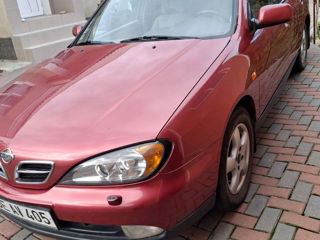 Nissan Primera foto 2