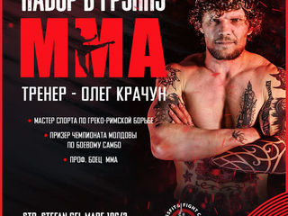 ММА. Смешанные единоборства. MMA Arte martiale mixte foto 2