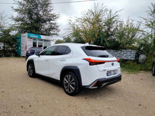 Lexus UX foto 6