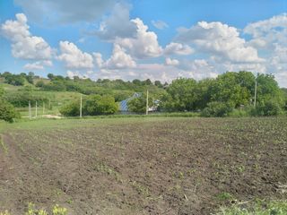 Se vinde teren 13.35 sote Peresecina cu titlu de constructie +30 cuburi de piatra tare foto 4