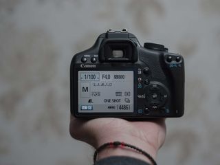 Canon 500D (5000 de cadre) foto 3