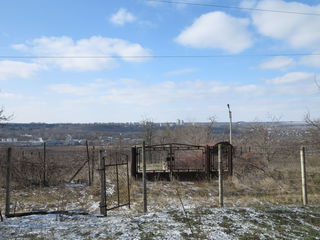 Teren pomicol,superpret.5km de la Chisinau !!! foto 2