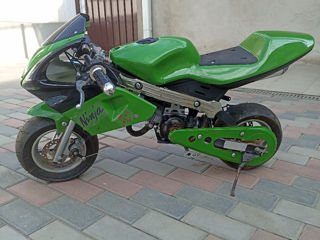 Kawasaki Ninzia pitbaik foto 1