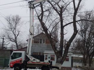 Curățarea copacilor! Tăierea crengilor ce încurcă liniilor electrice cu mașina Autoturn foto 9