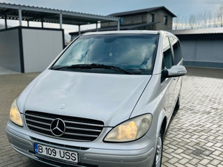 Mercedes Viano foto 6